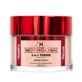 Not Polish Powder Santa’s Lap